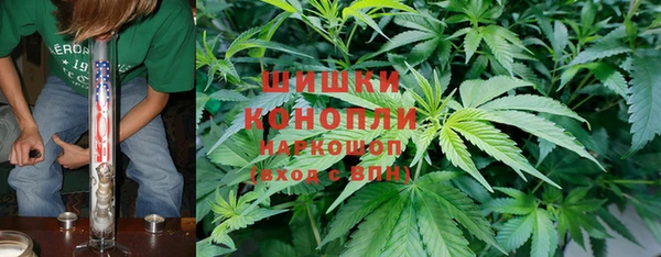 винт Каменка