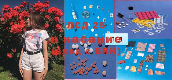 сатива Каменногорск