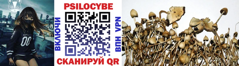 Псилоцибиновые грибы прущие грибы  Купить  Белая Холуница 
